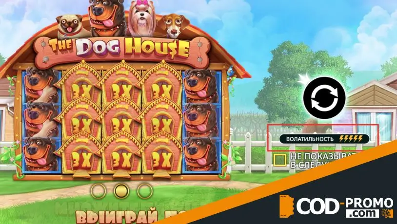 Волатильность слотов: все варианты