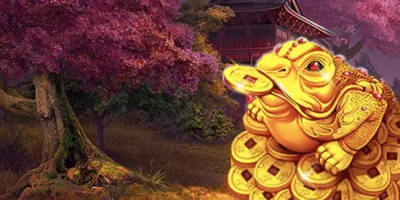 Поинты Play fortuna