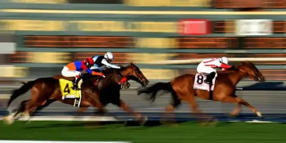 Самый нелепый скандал на скачках