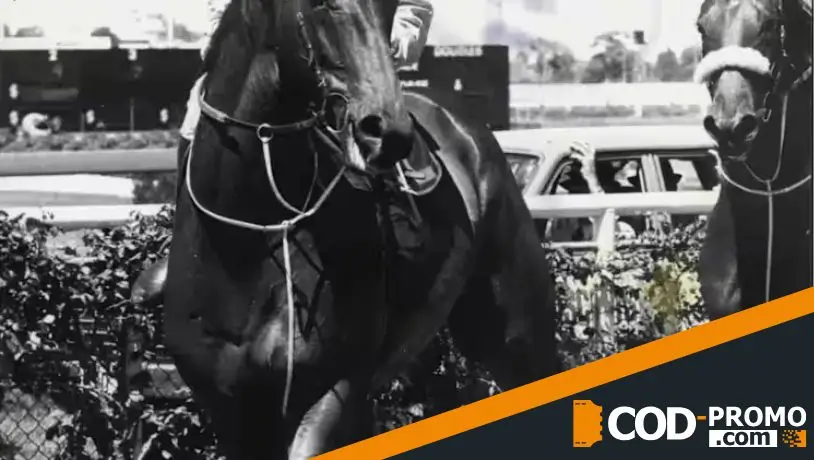 Двойная жизнь двух скакунов: Fine Cotton и Dashing Solitaire