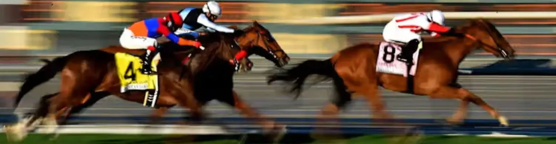 Самый нелепый скандал на скачках