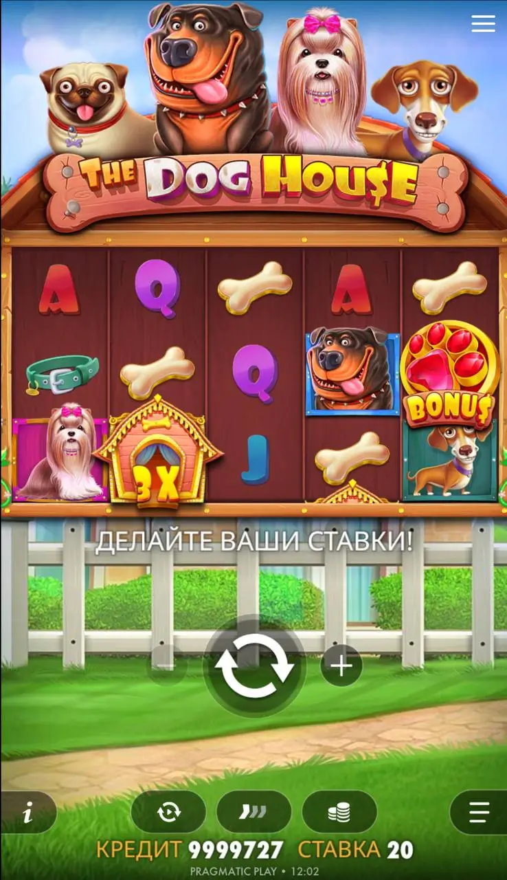 Лучшие слоты Pragmatic play: The Dog House 