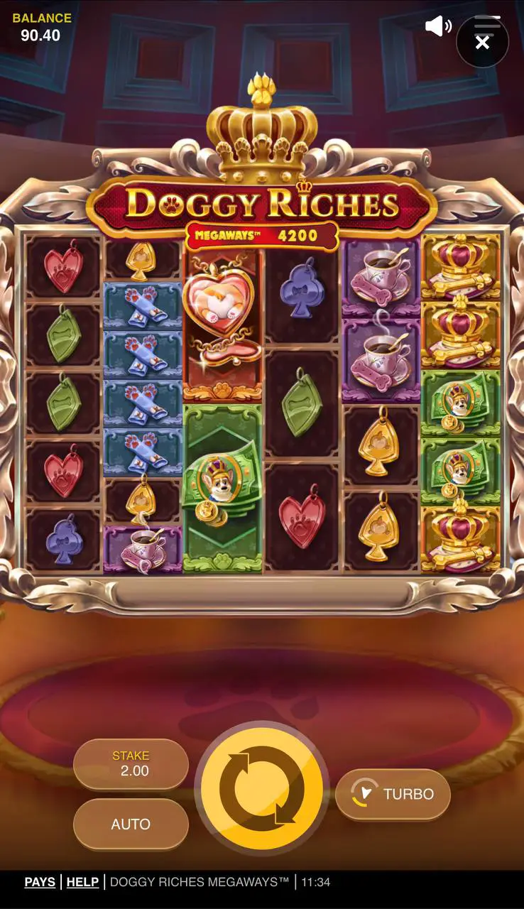 Лучшие слоты про кошек и собак: Doggy Riches Megaways от Red Tiger Gaming