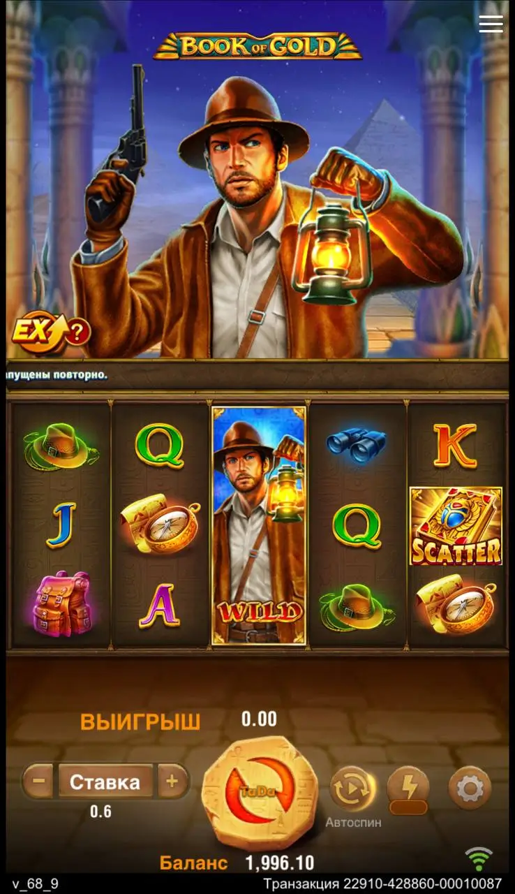 Лучшие слоты на 10 линий: Book of Gold от TaDa Gaming