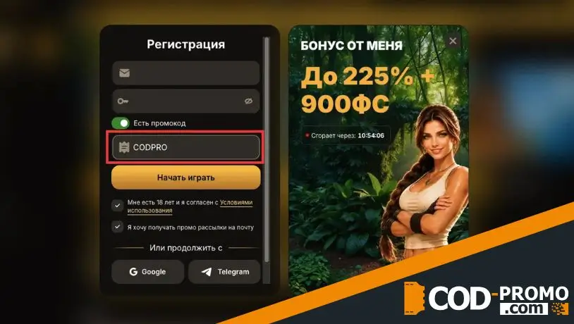 Куда вводить промокод и как не ошибиться