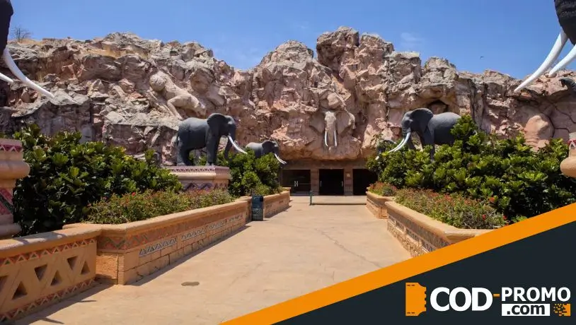 Какие развлечения предлагает курорт Sun City