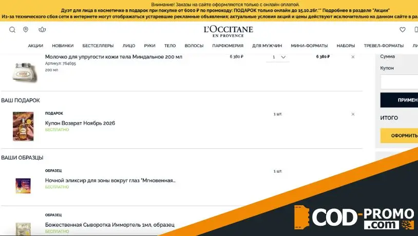 В чем большой плюс промокода и как с ним сделать выгодный заказ